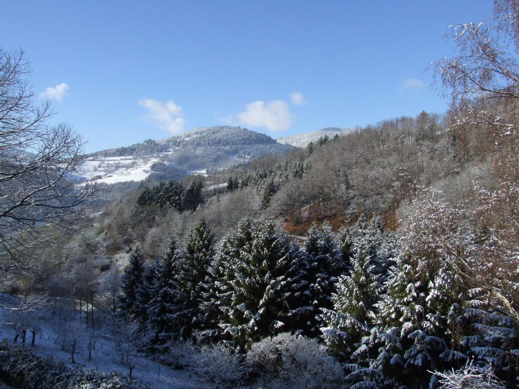 La Haute Grange Gites De Charme En Alsace Fréland Exterior foto